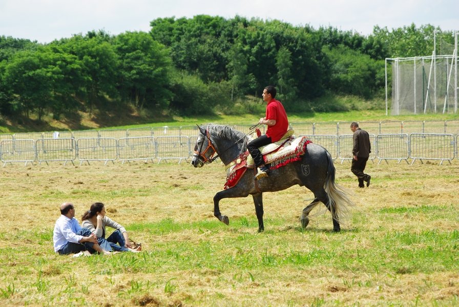 Le Moussem des Cultures 2008 012.jpg